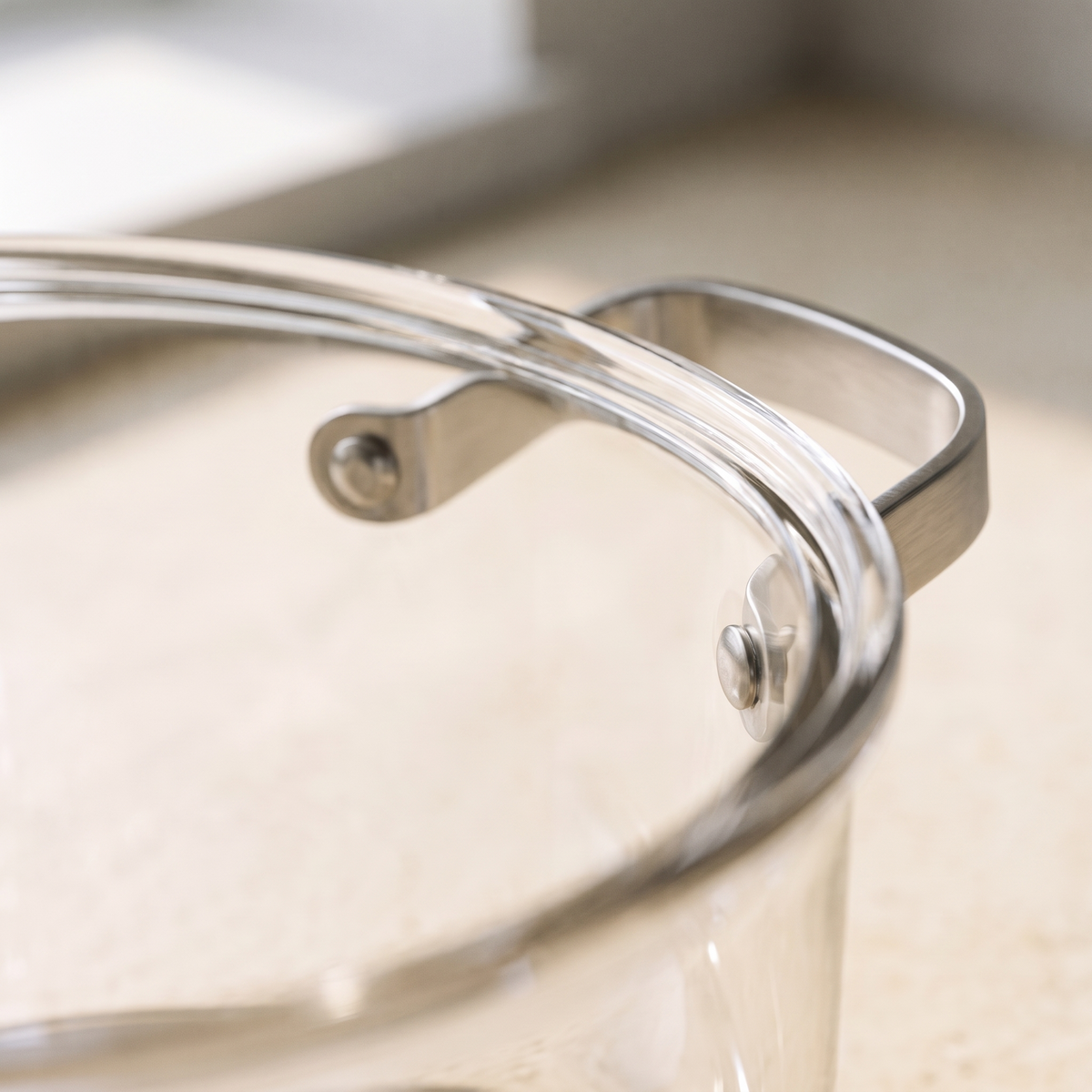 Close view of a stainless steel handle riveted through the glass wall